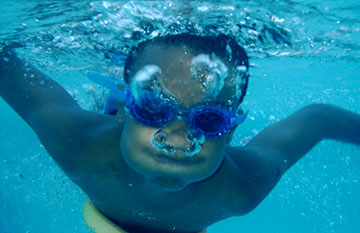 dalin swimming under water